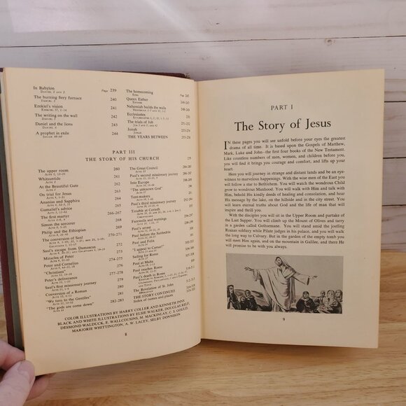 The Bible In Pictures Hardcover Greystone Press 1956 Ed. Illustrated Religious - Picture 6 of 16